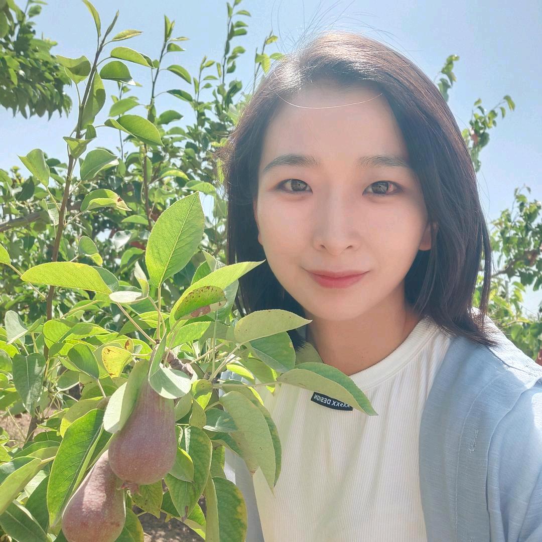 美梨夫人