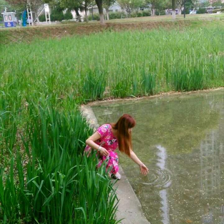 带刺的玫瑰