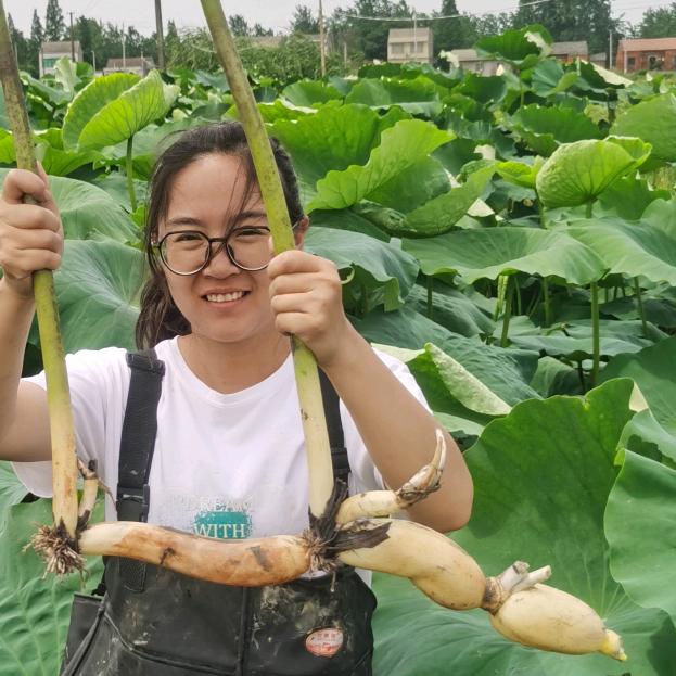 洪湖晓婷鲜生特产