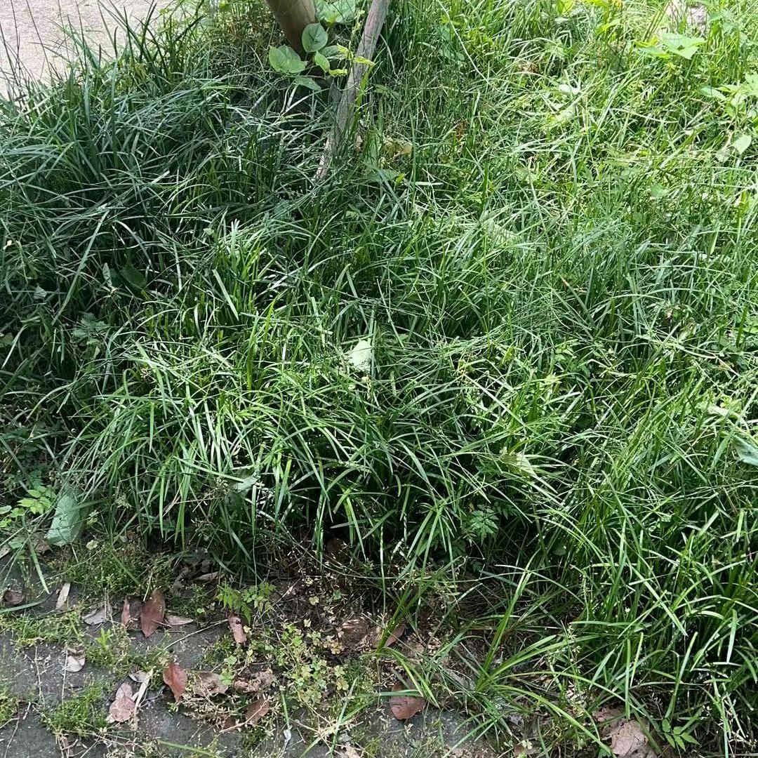 爱运动的奶奶（潜江云舞飞扬）