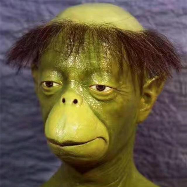 子龙