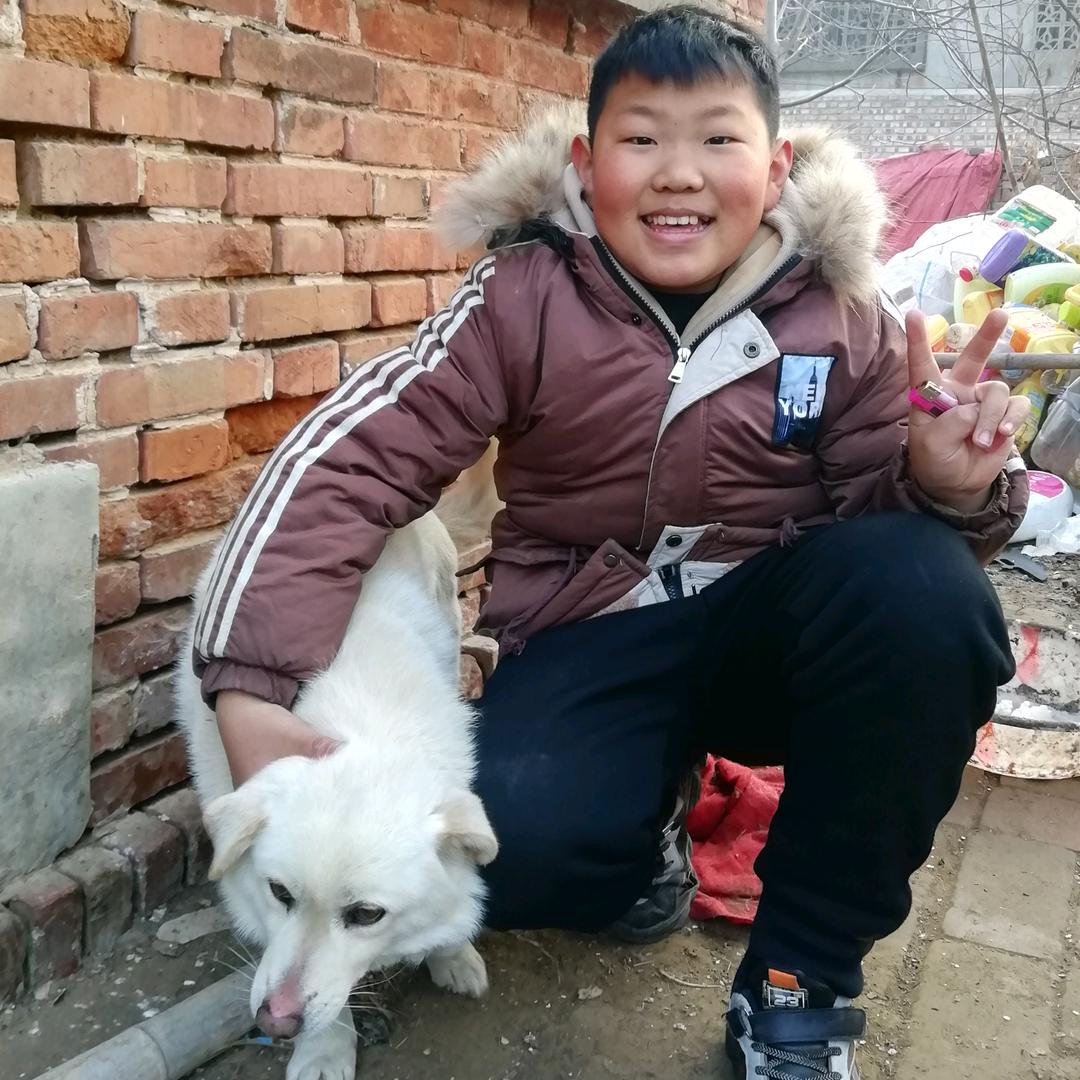 美羊羊，喜羊羊，纯手工老面小笼包