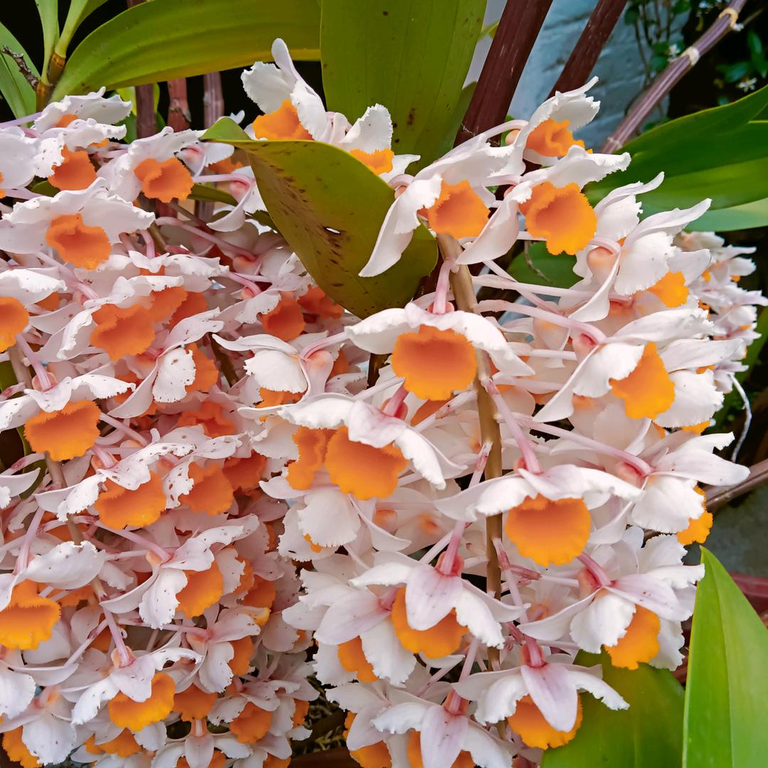 明天更比今天好