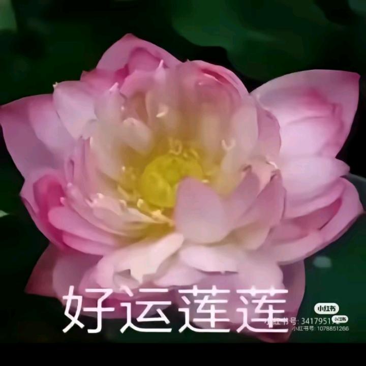 顺其自然😊