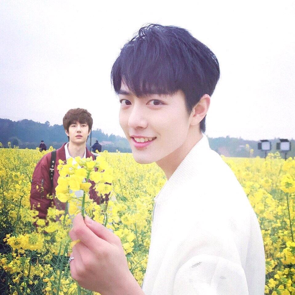 种香菜的大辣椒