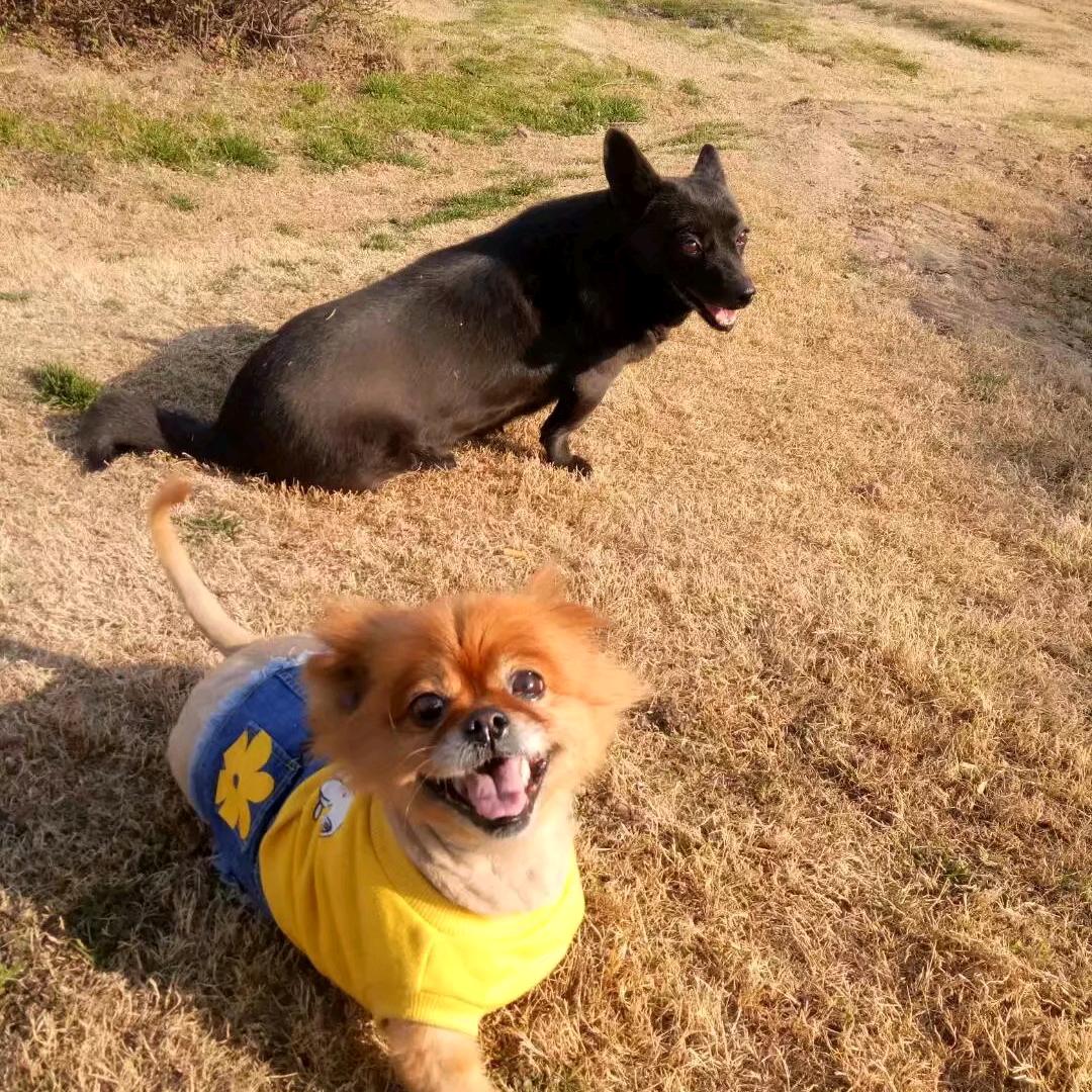 白菜～