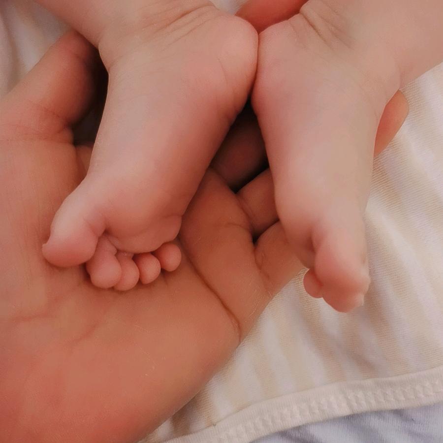 豆豆