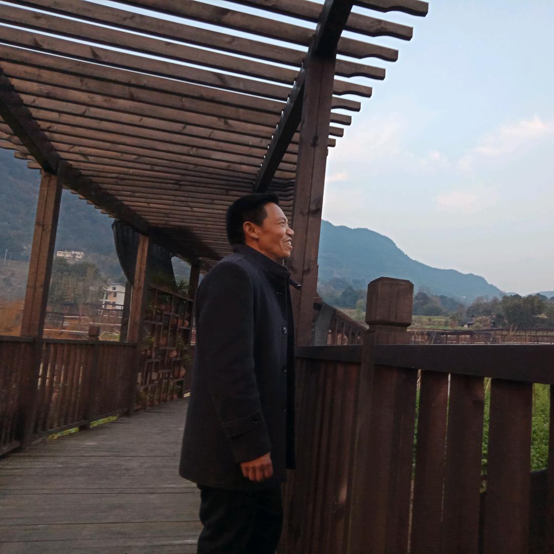 赵成金