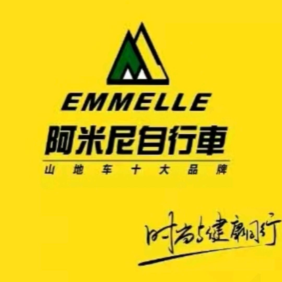 阿米尼（EMMELLE）自行车肥城总代理