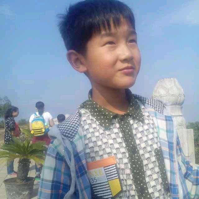 清真回族天天鲜牛羊肉