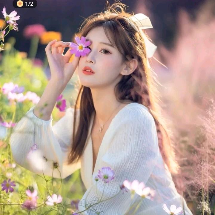 小趴蔡