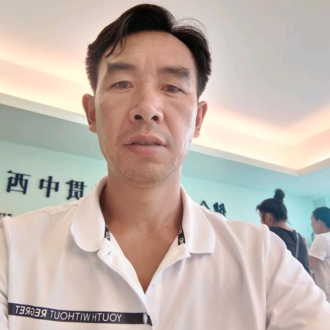 齐飞