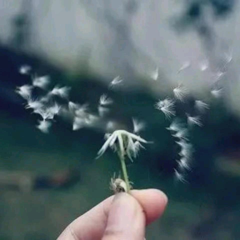 嗳情^O^毒
