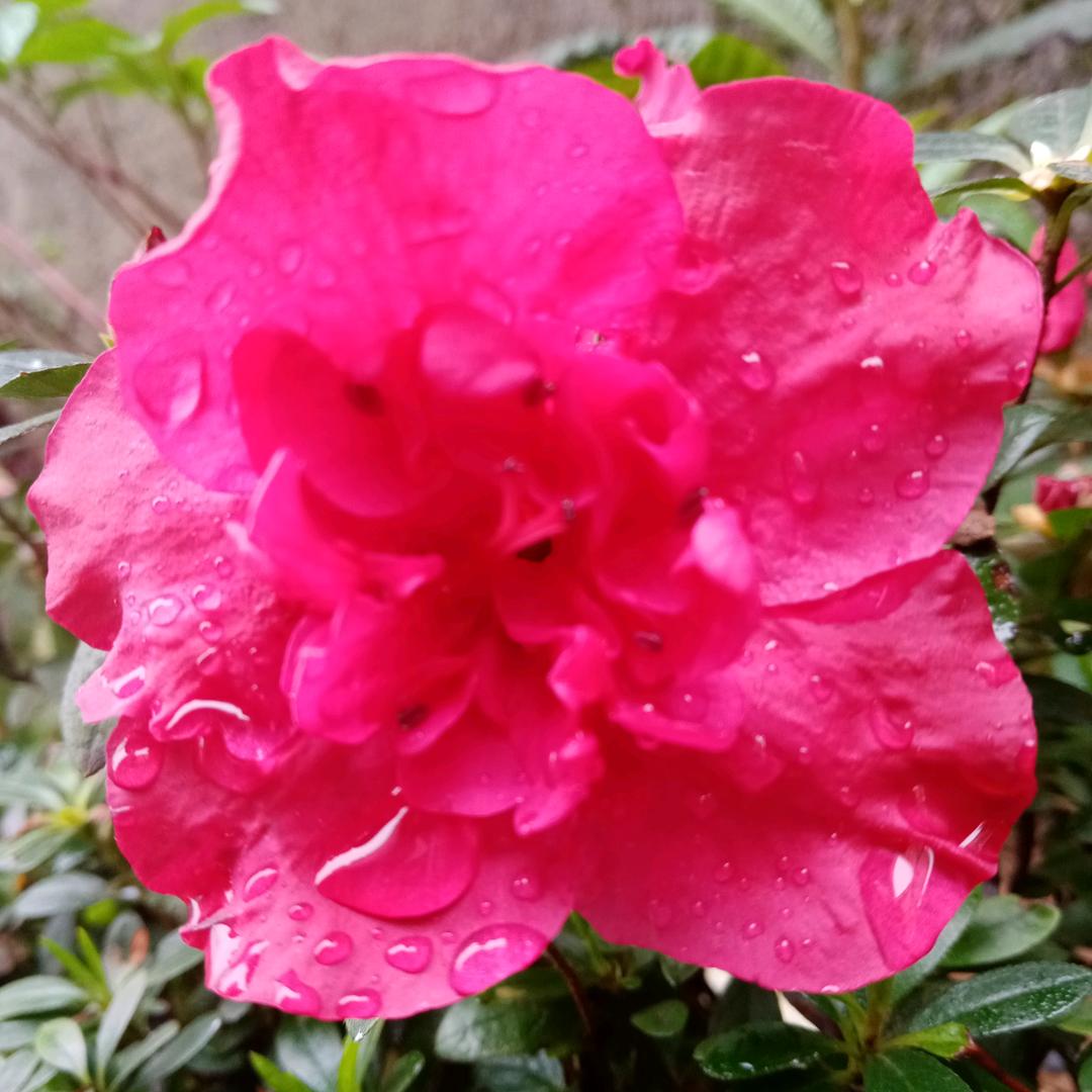 有福之人（搞笑老头）