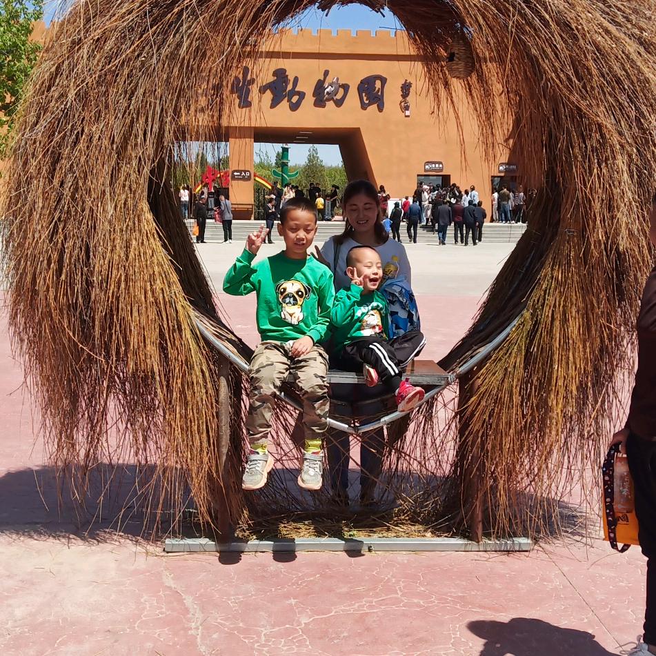 果果