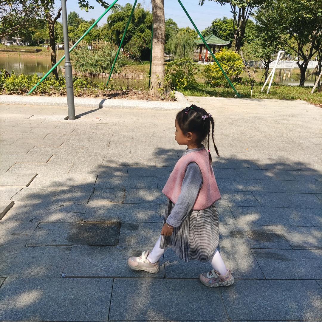 墙角数枝梅