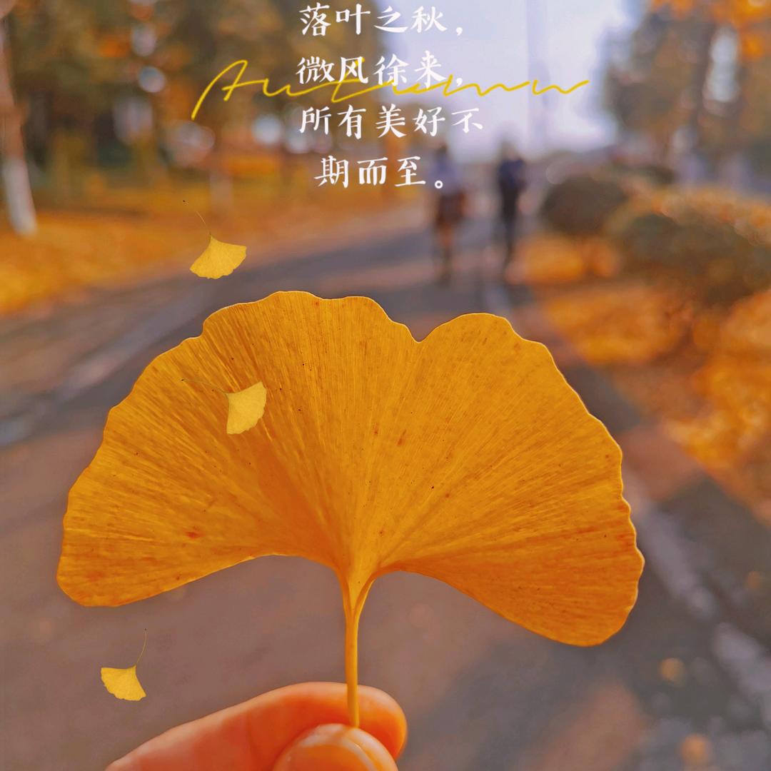 晓晓