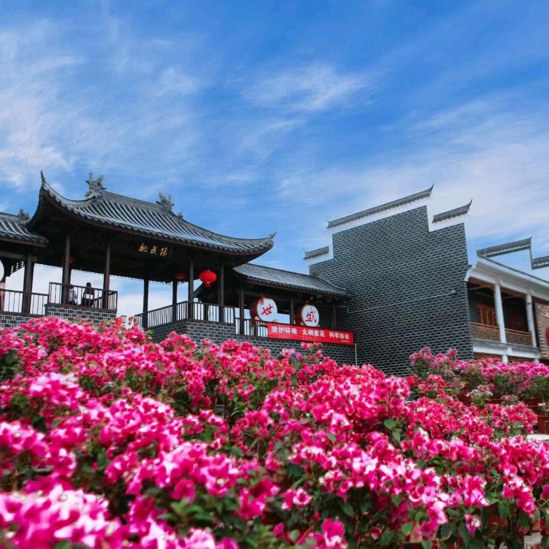 醴陵市清水湾畔景区