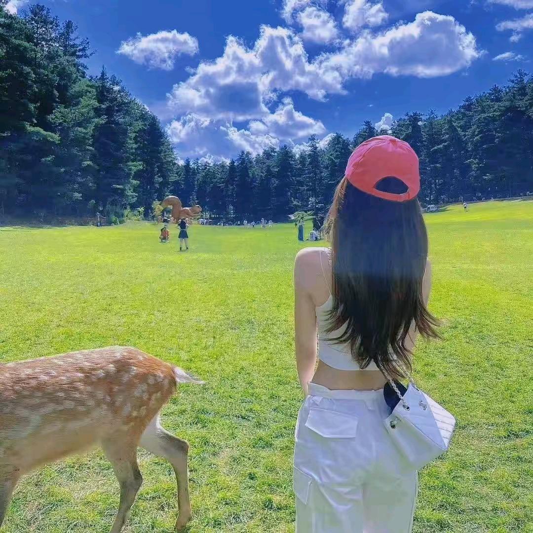 𝒟.小柠栀