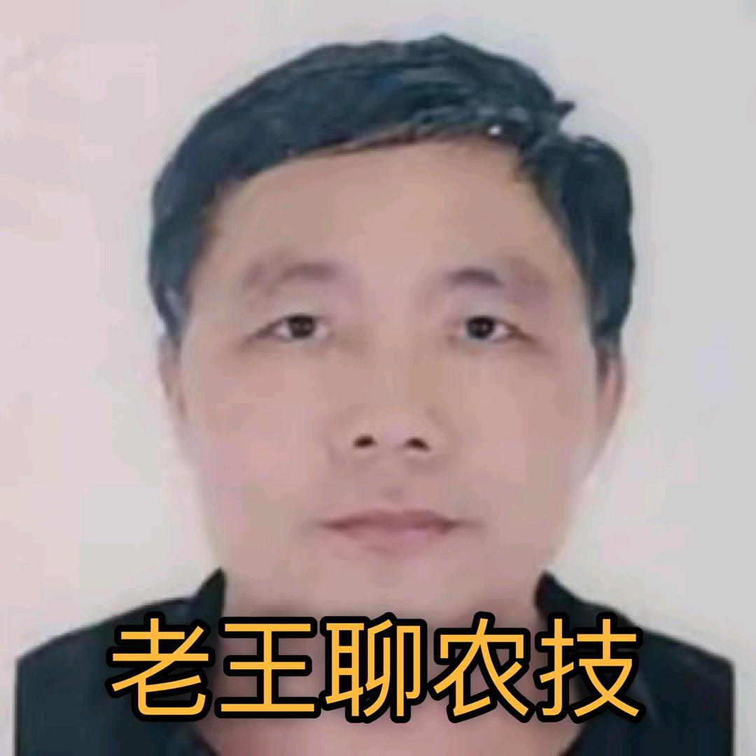 老王聊农技
