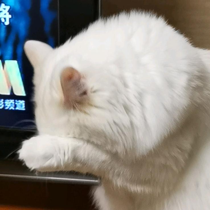 老男人#笑看风云(^_^)