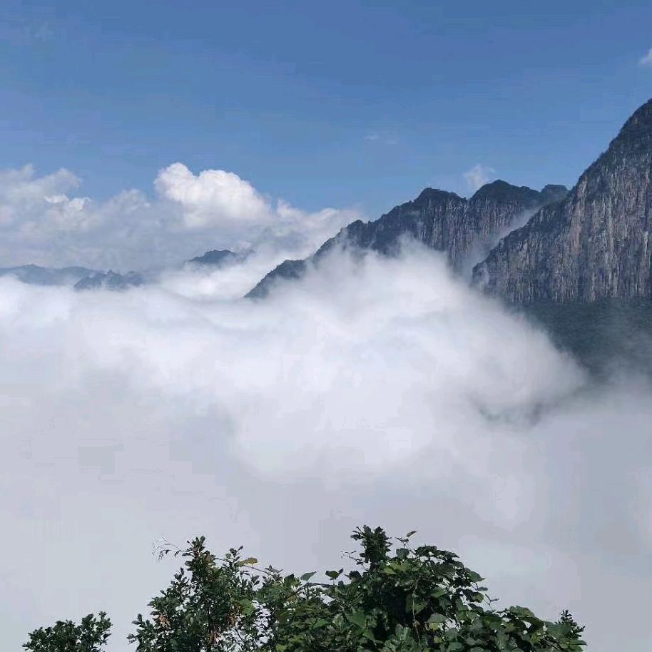 芸朵☁️☁️☁️