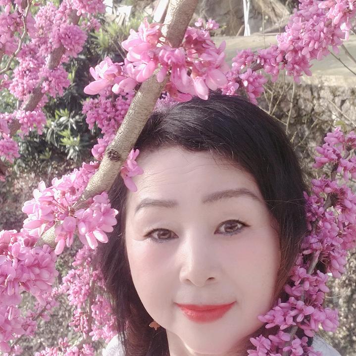 永不凋谢