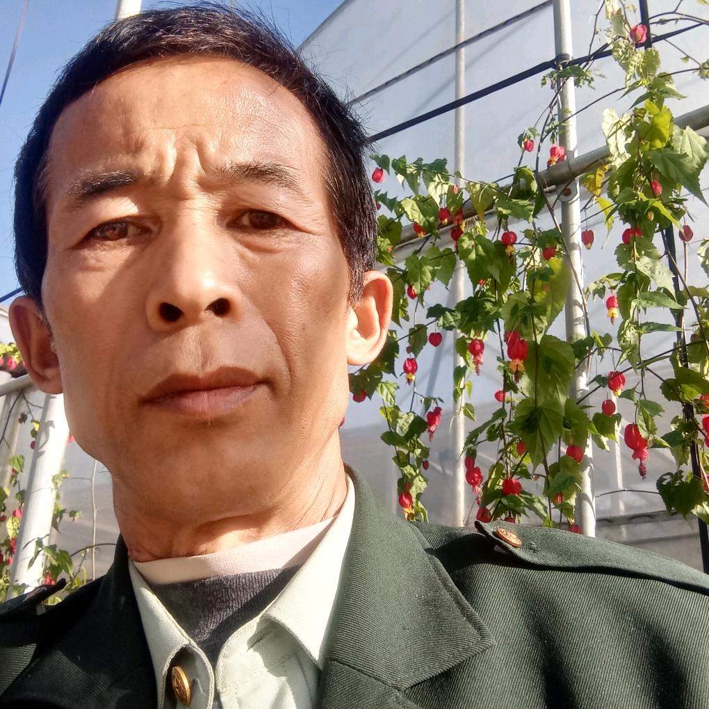晚年一壶老酒