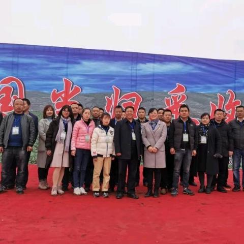 扎胜地，当归，党参，黄芪。
