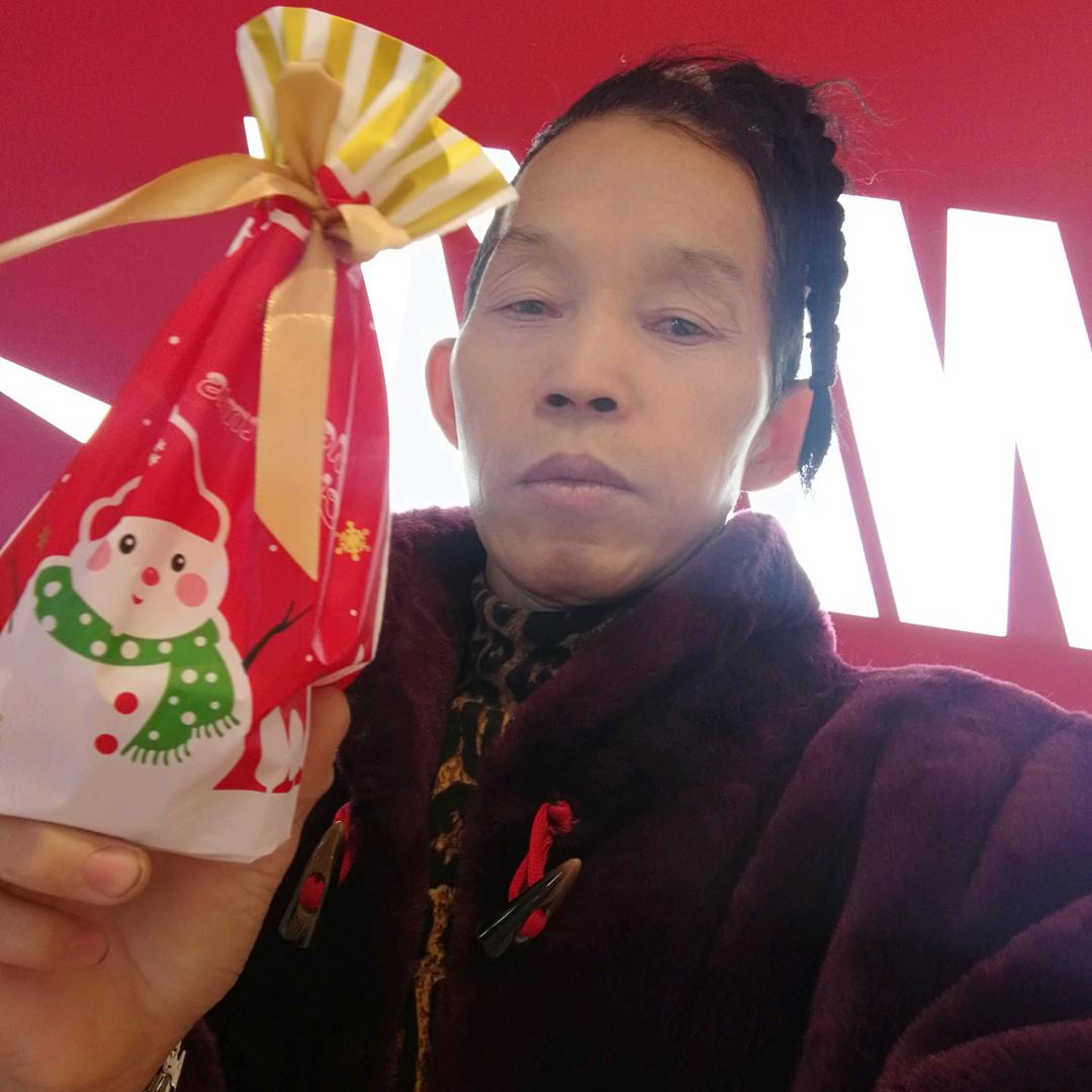互联网平台网站网络
