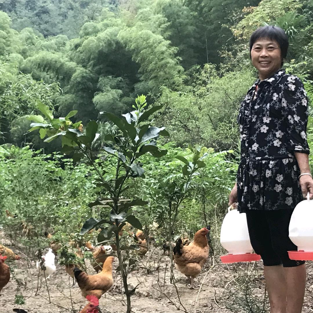 老姚家的生活