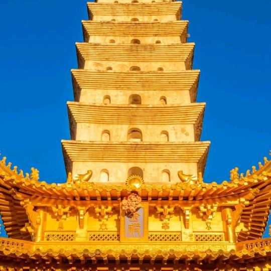 真向前