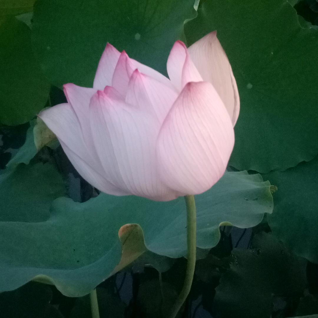 为了美好明天加油！！