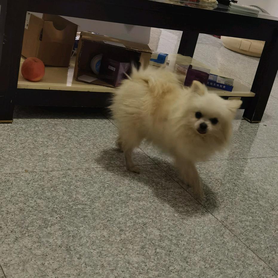 陌路