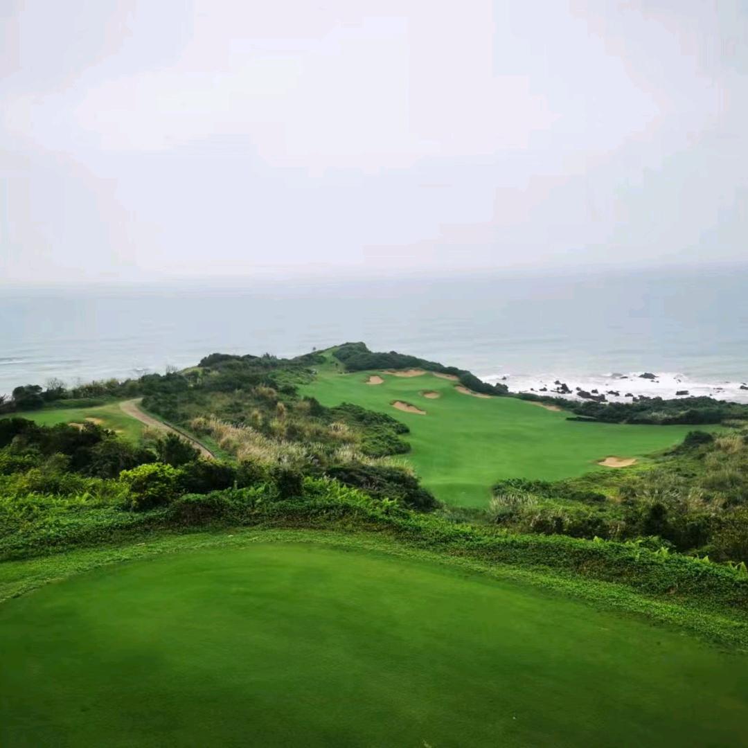 寒夜客来茶当酒