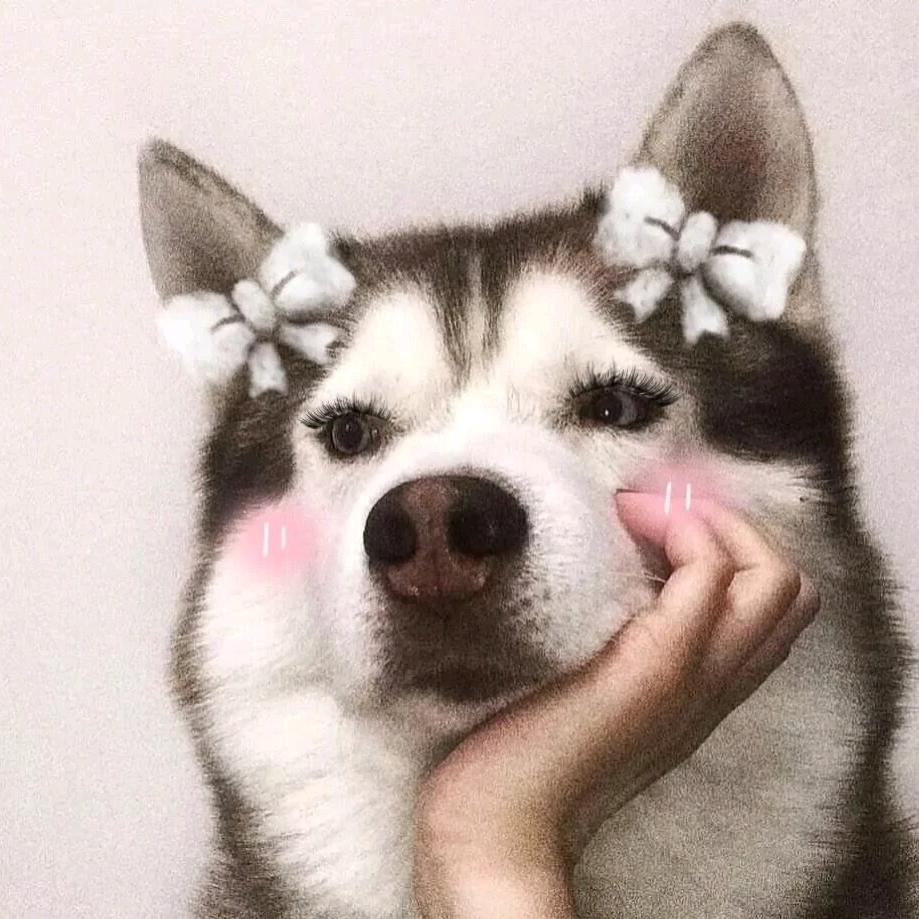 梁小巧