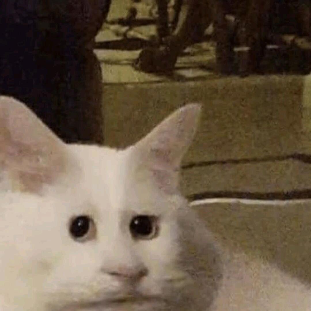 嘛呢（已老实）