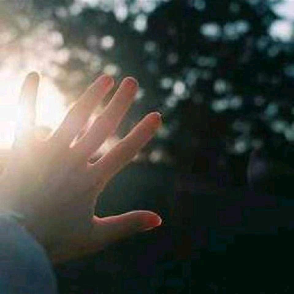 快乐人生💪️💪️