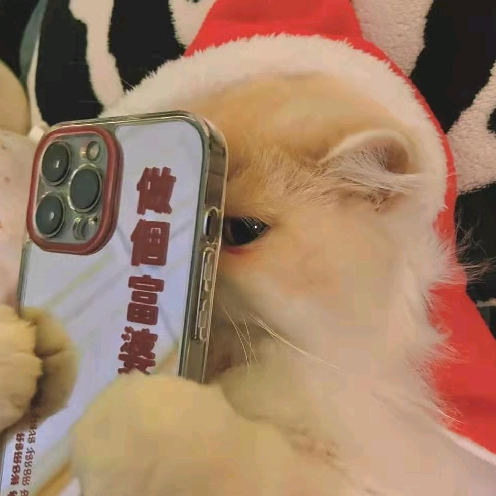 一起去看海吧