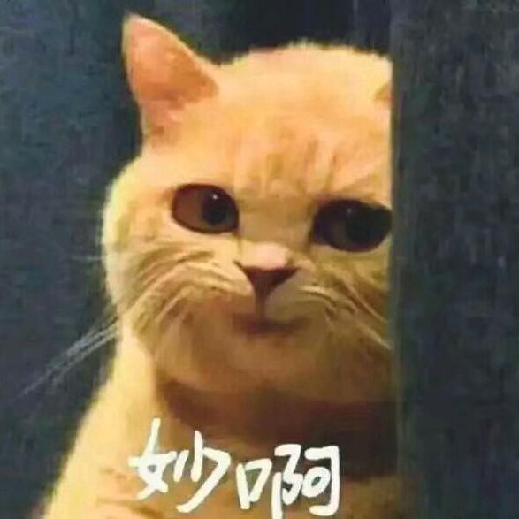 锦衣夜行的老陈头像