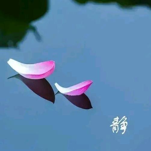 秀红
