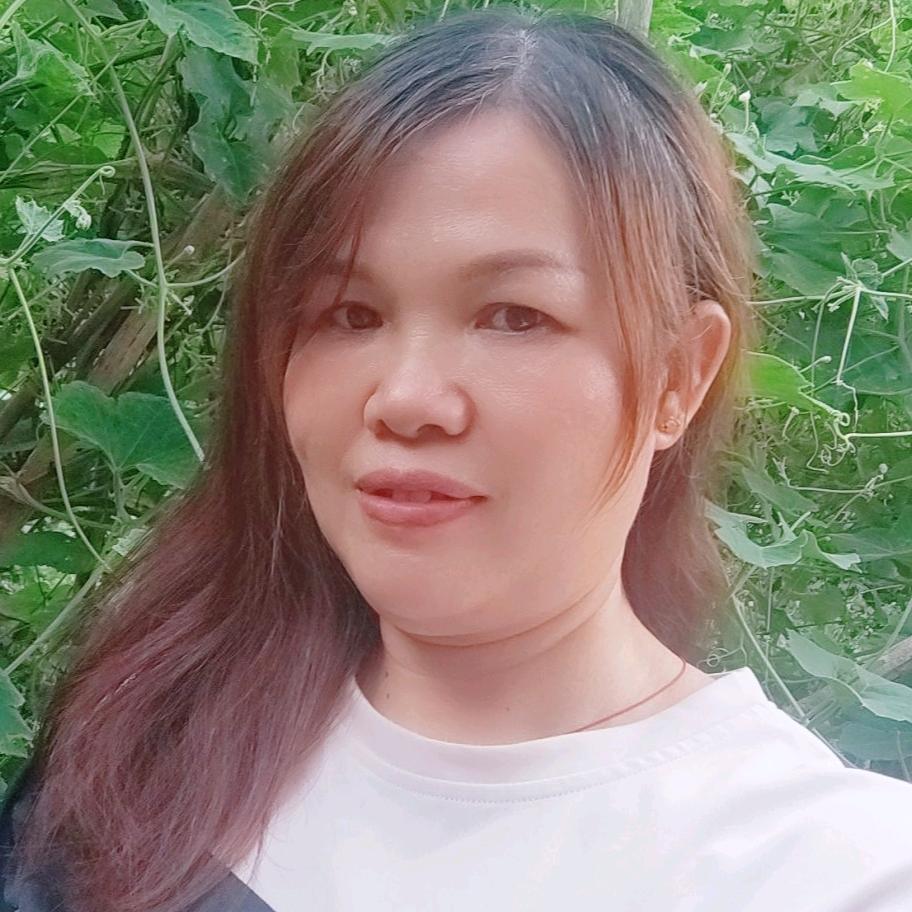 不悔今生爱过你