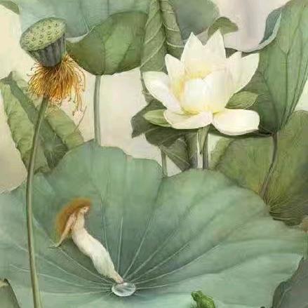 莲池（拒私聊）