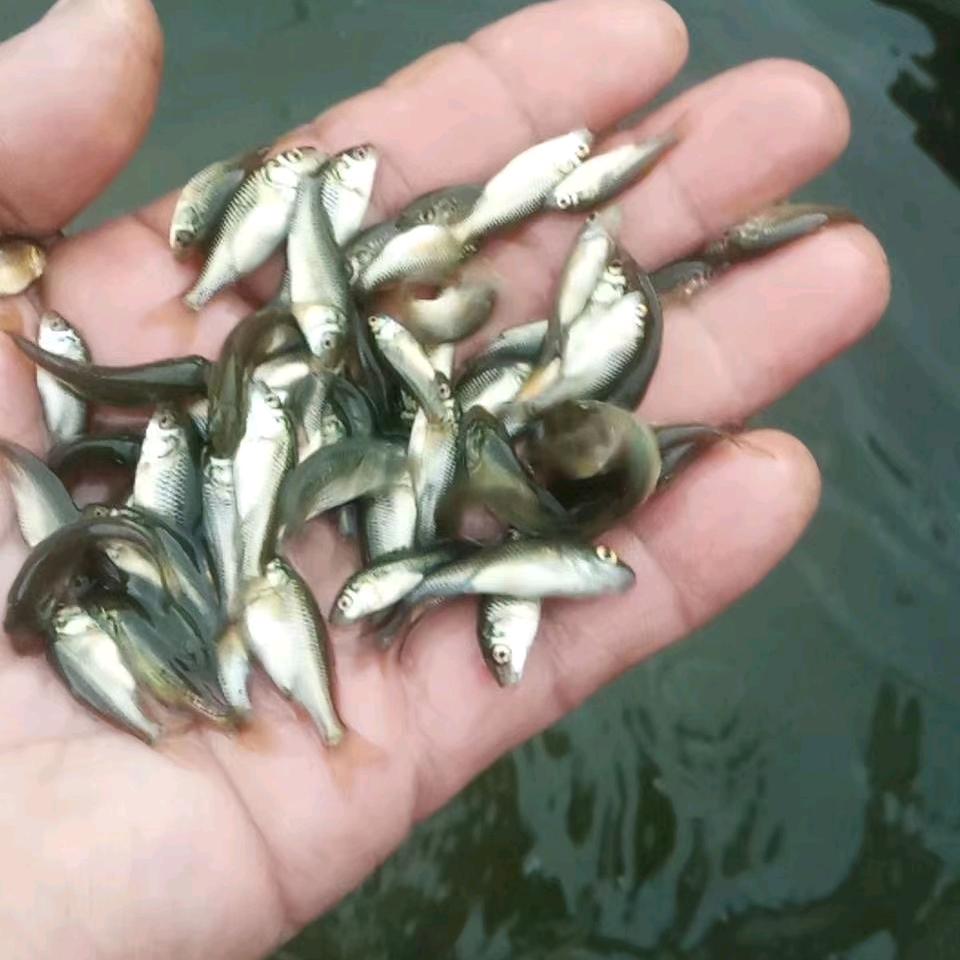 广源水产