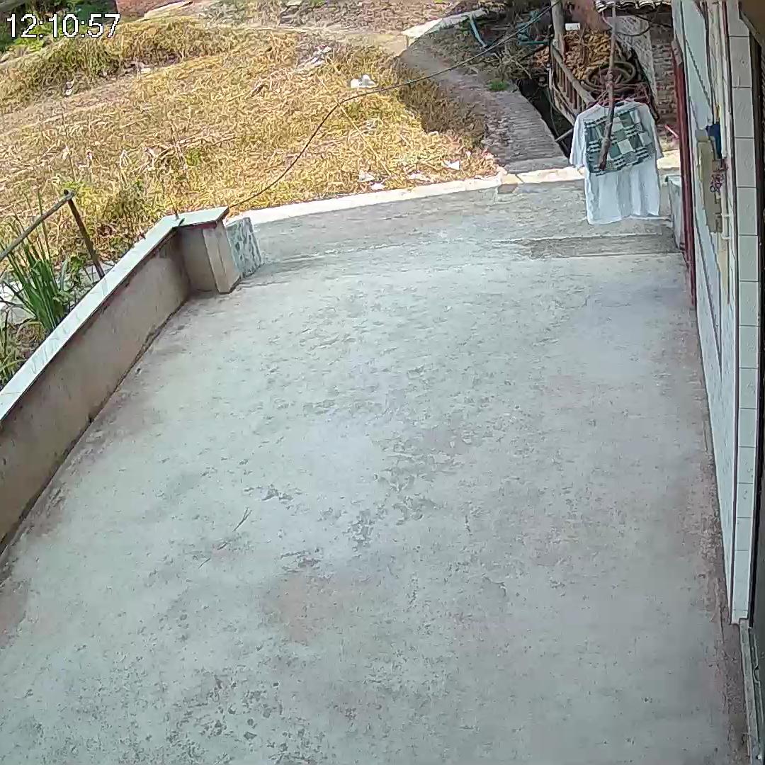 何宣菊