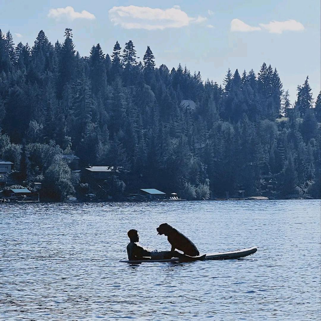 哈哈啊哈哈哈哈虎C