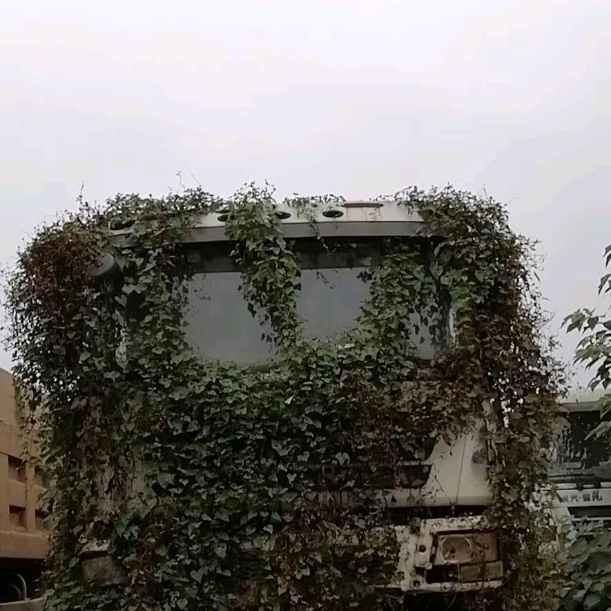 和谐友善