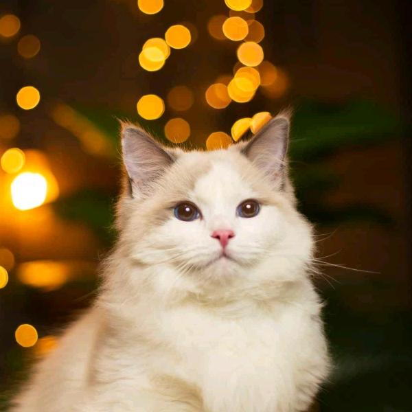 ༺一路ༀ走༒来༻