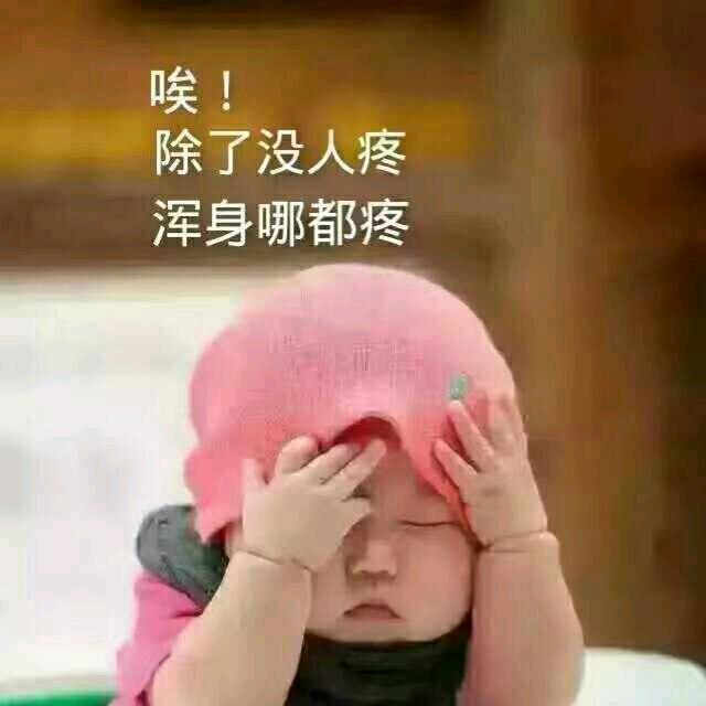 宝哥