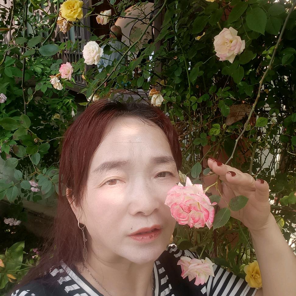 没人爱的大姐😊